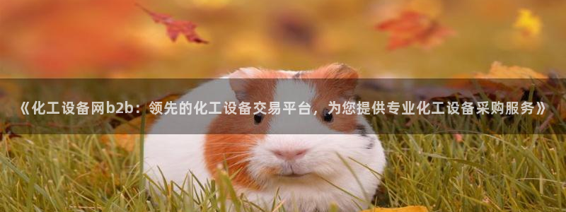 美狮贵宾会合法吗