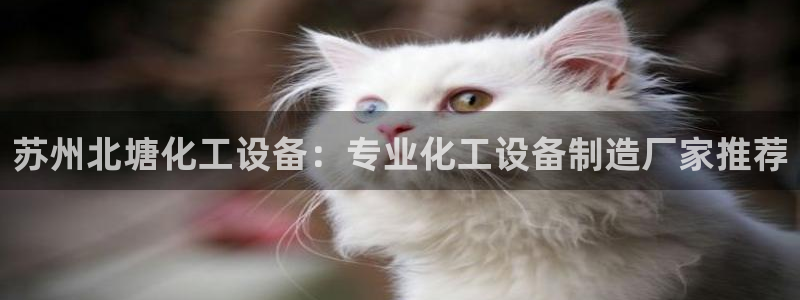 美狮会平台是干什么的