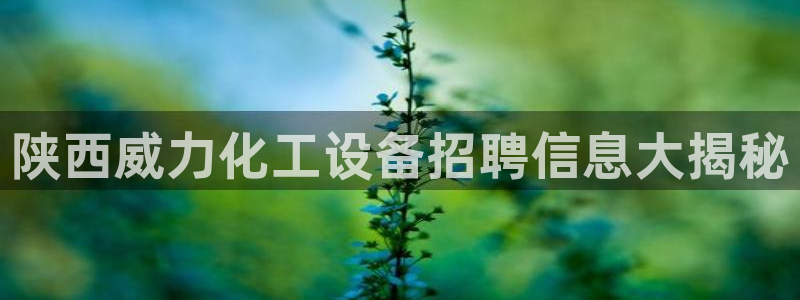 美狮传媒集团有限公司
