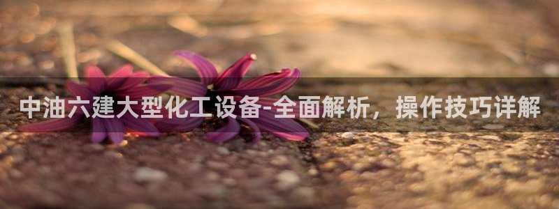 美狮会员卡等级划分图