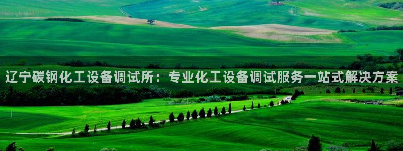 美狮贵宾会官网网址