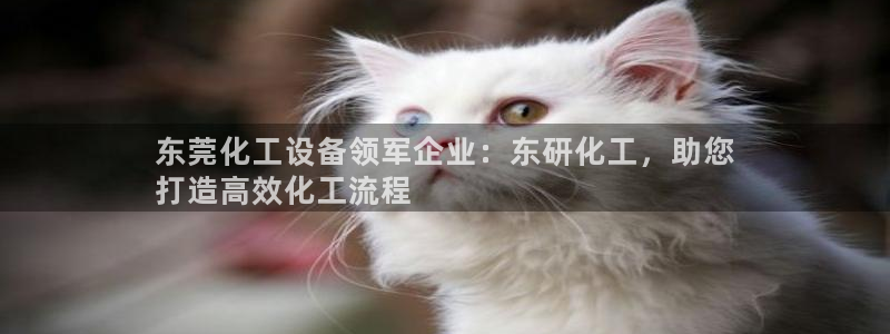 美狮传媒集团有限公司怎么样