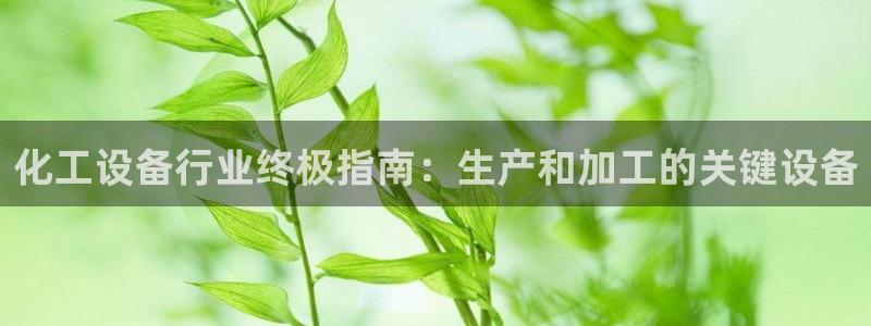 美狮会员卡等级怎么看