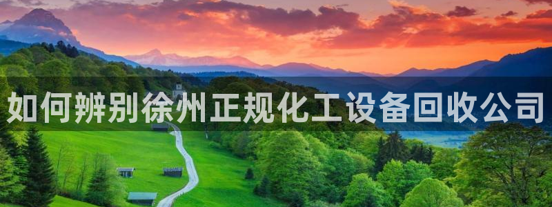 美狮外汇最新消息