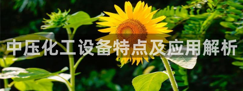 美狮贵宾会mmm