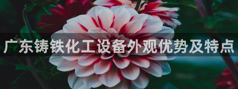 美狮贵宾会开了几年了吗